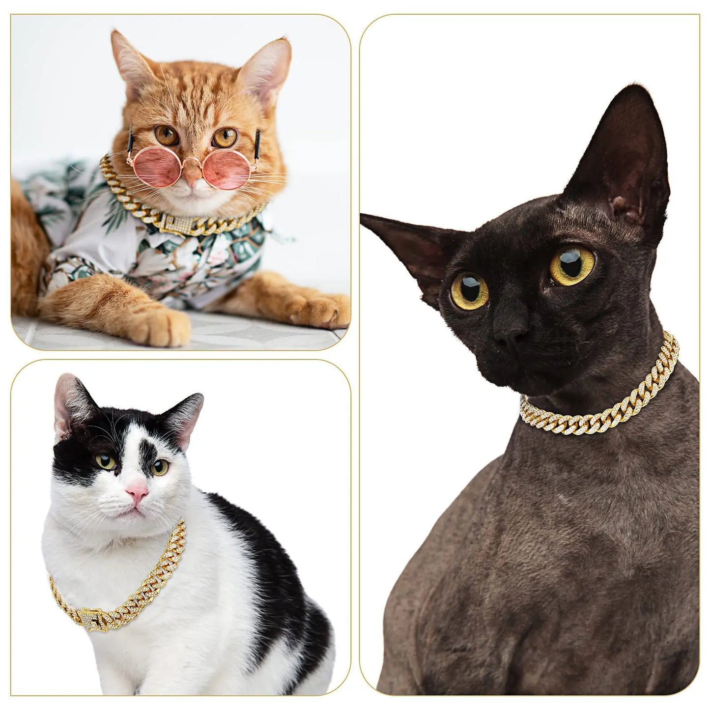 Stylish Pet - Chain Collar