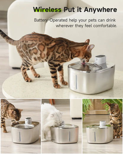 Wireless Cat Water Fountain - 1 Gallon Capacity