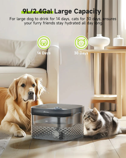 Pet Water Fountain - 2.4 Gallon Capacity